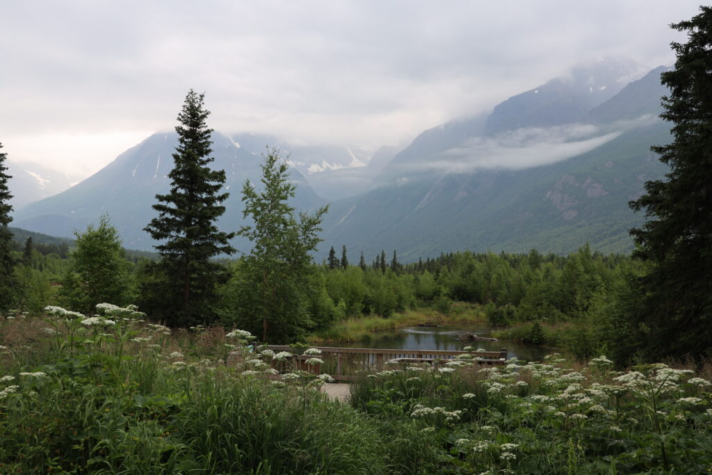 View from the Albert Loop Trail in Chugach State Park near Anchorage