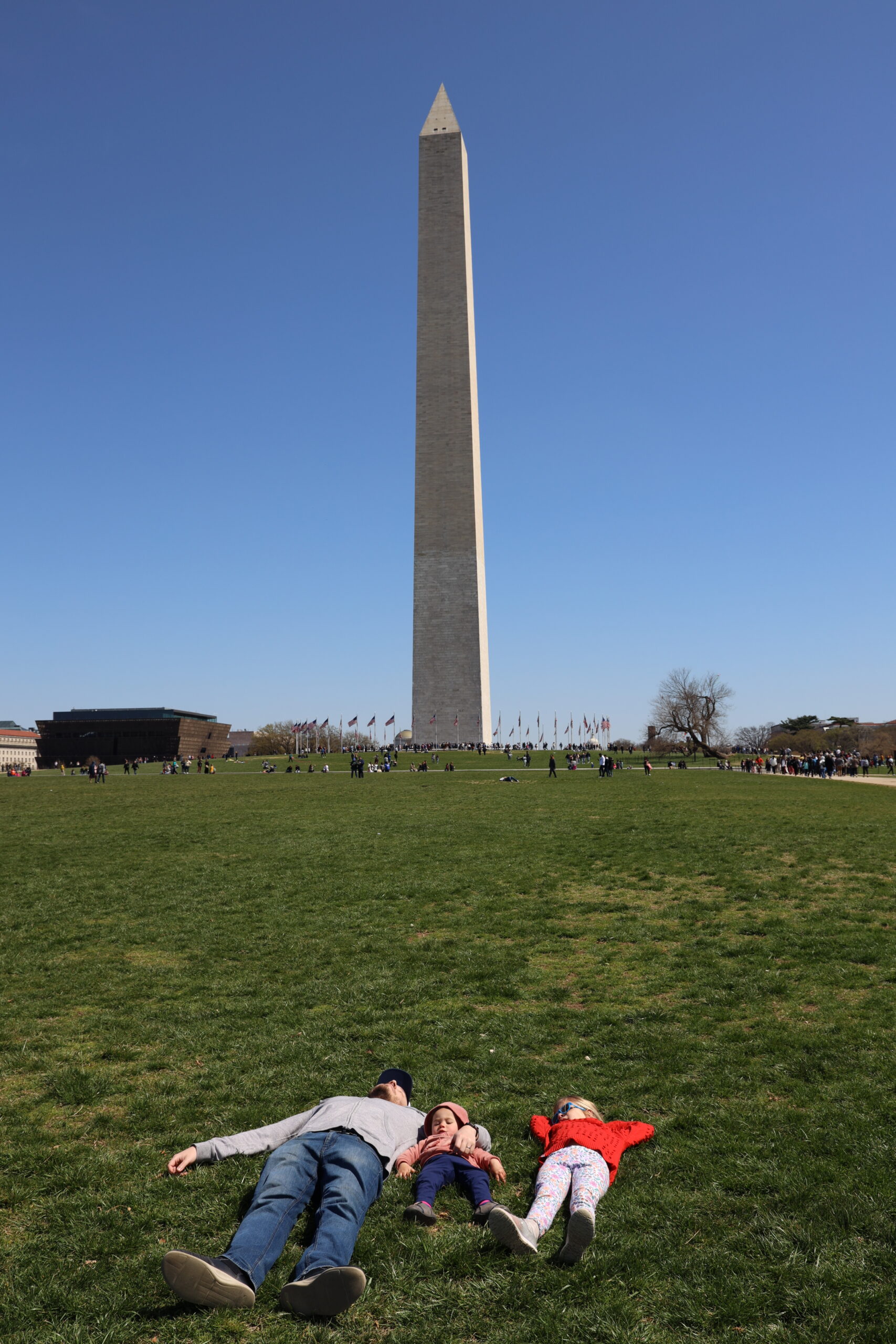A lawn in front of the Washington Monument