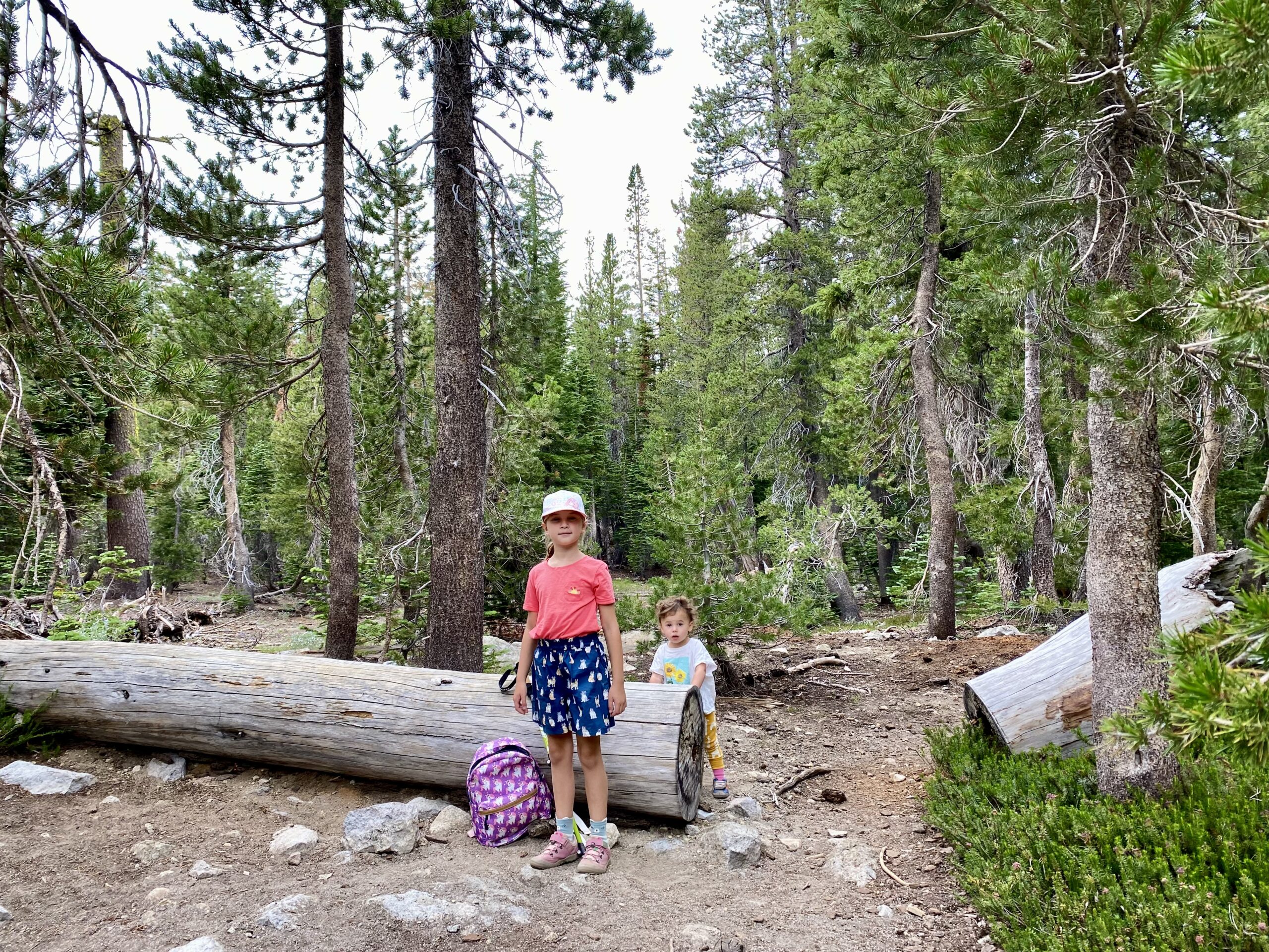Terrace, Shadow and Cliff Lakes trail at Lassen Volcanic National Park