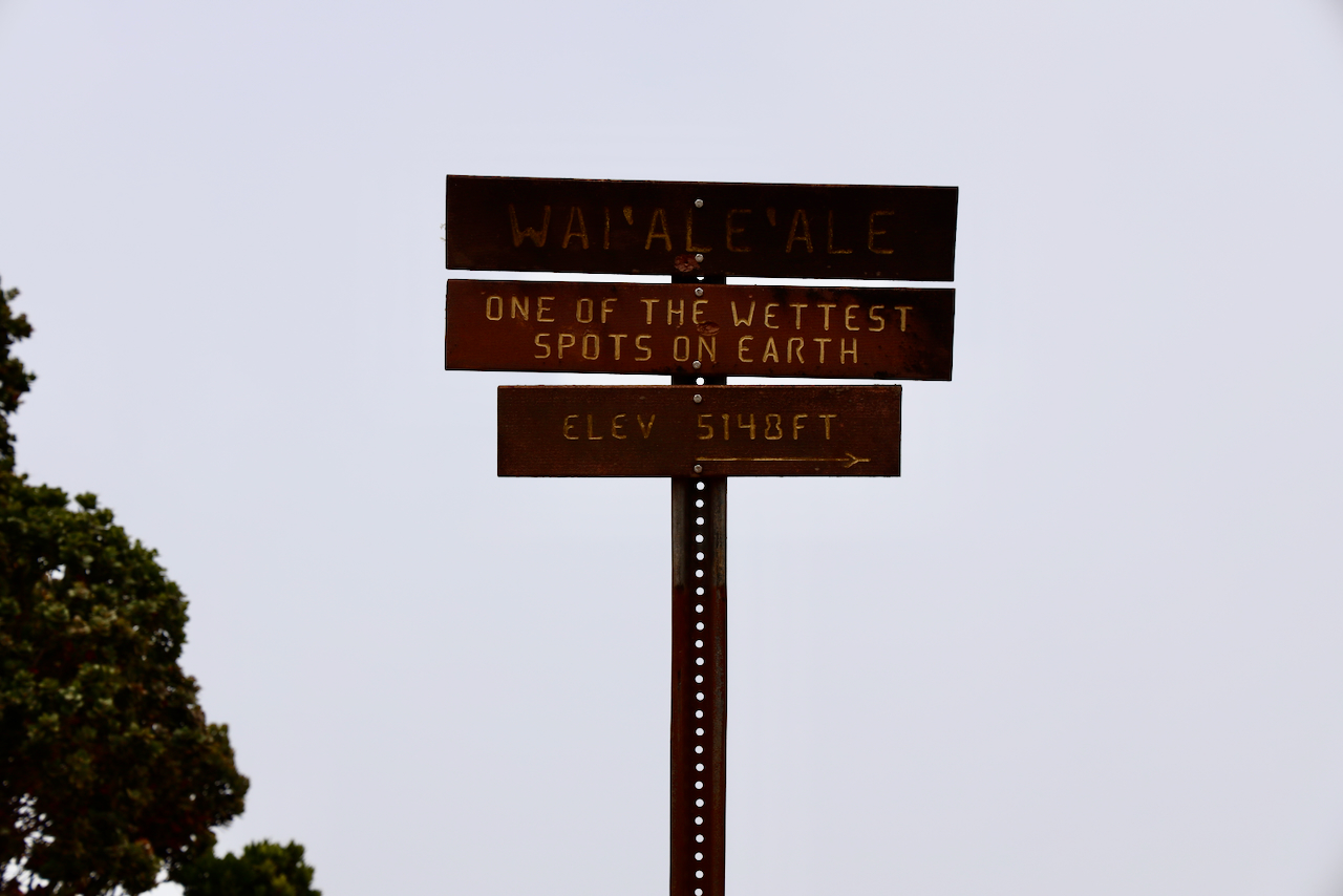 Mount Waiʻaleʻale sign, one of the wettest places on Earth, Hawaii