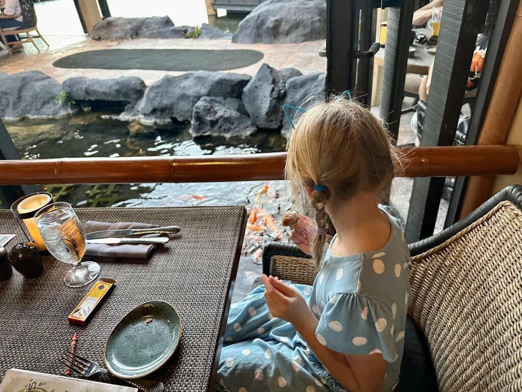 Watching Koi fish at Tidepools at Grand Hyatt Kauai