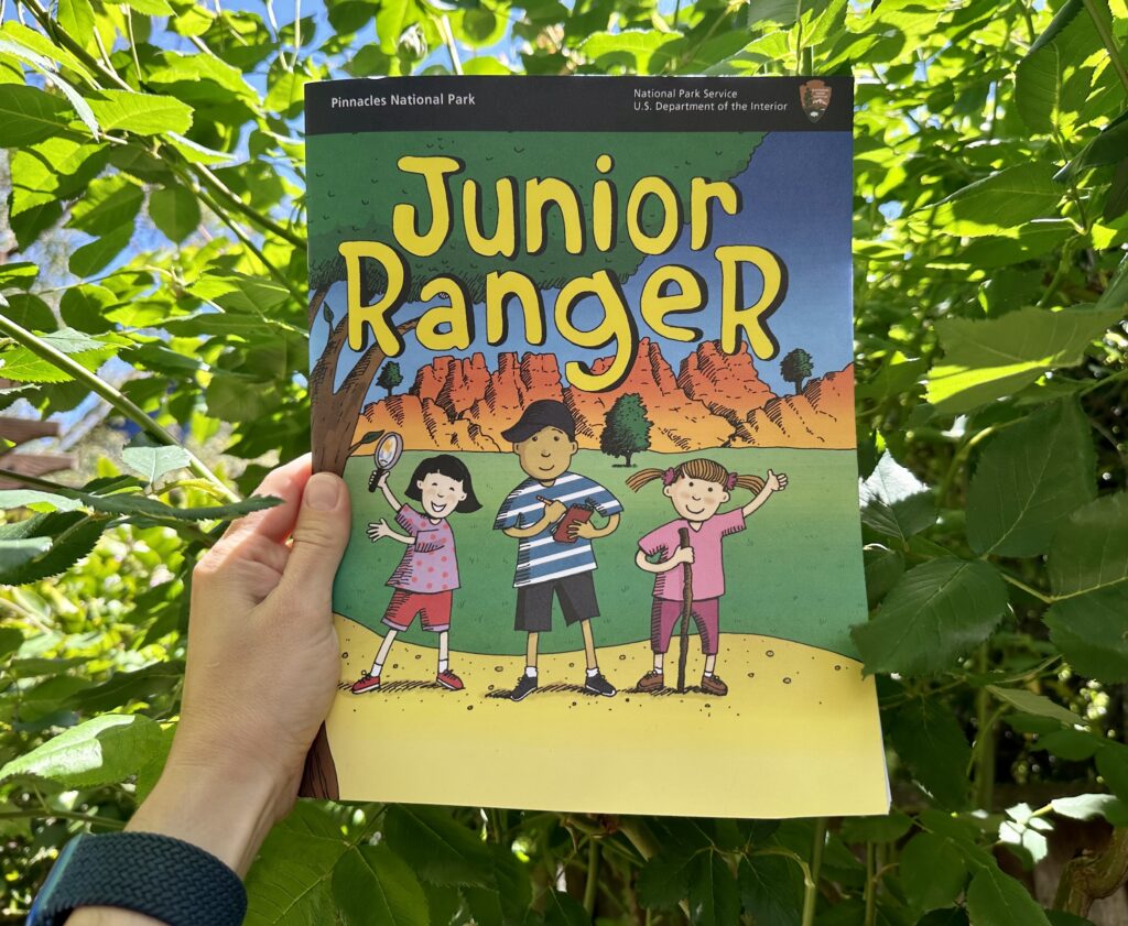 Junior Ranger Program at Pinnacles National Park