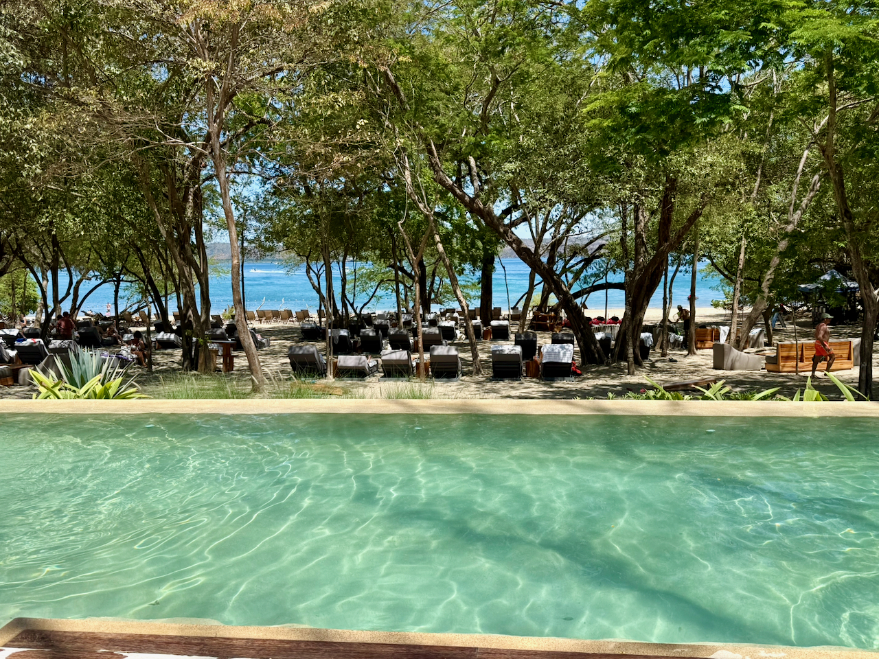 The pool by the Meso restaurant at Casa de Playa, Andaz Papagayo