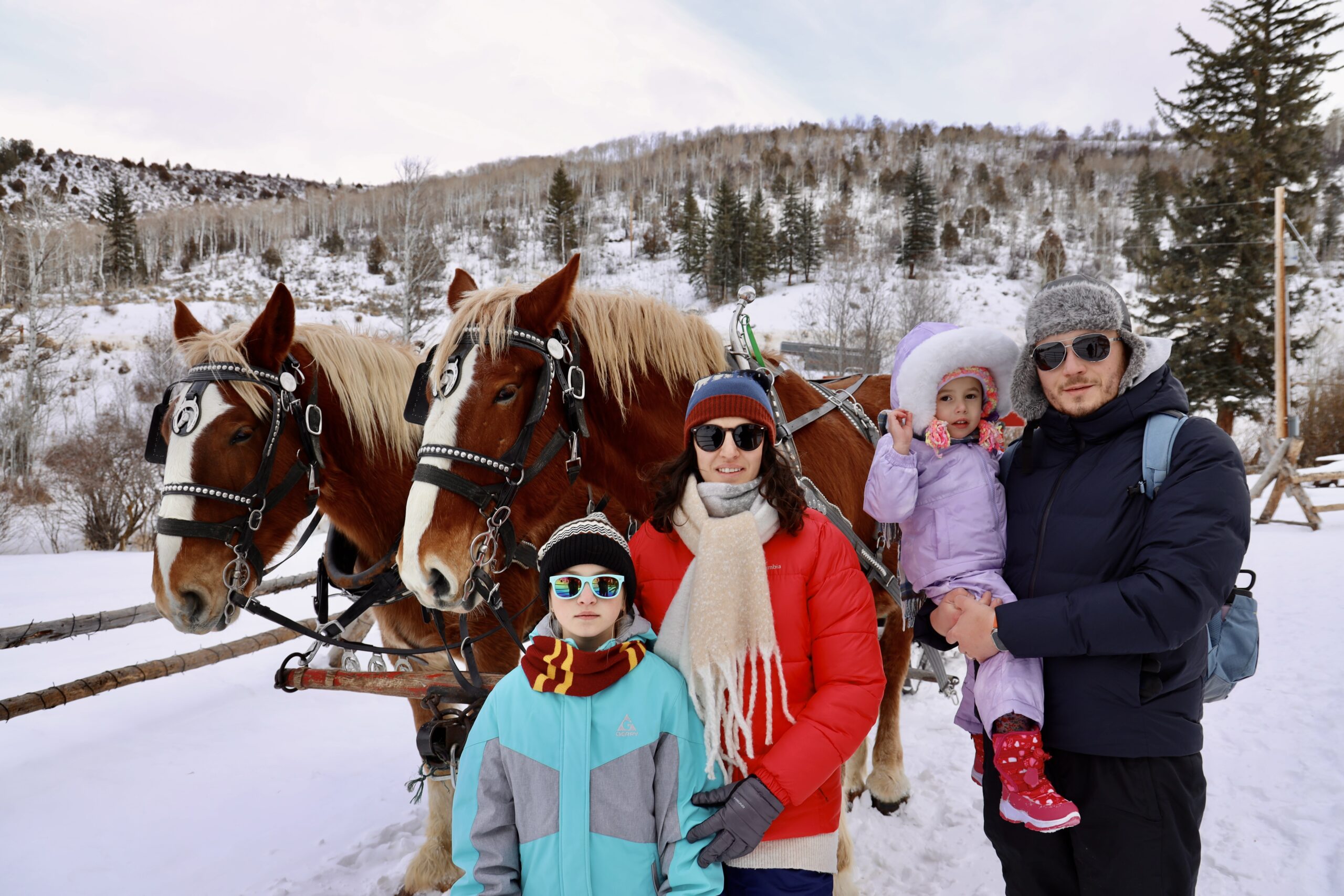 Bearcat Stables, Colorado, a sleigh ride