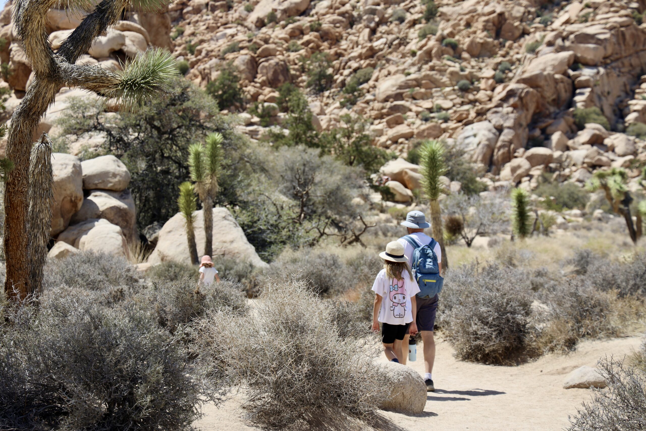 Hidden Valley Trail, Joshua Tree National Park