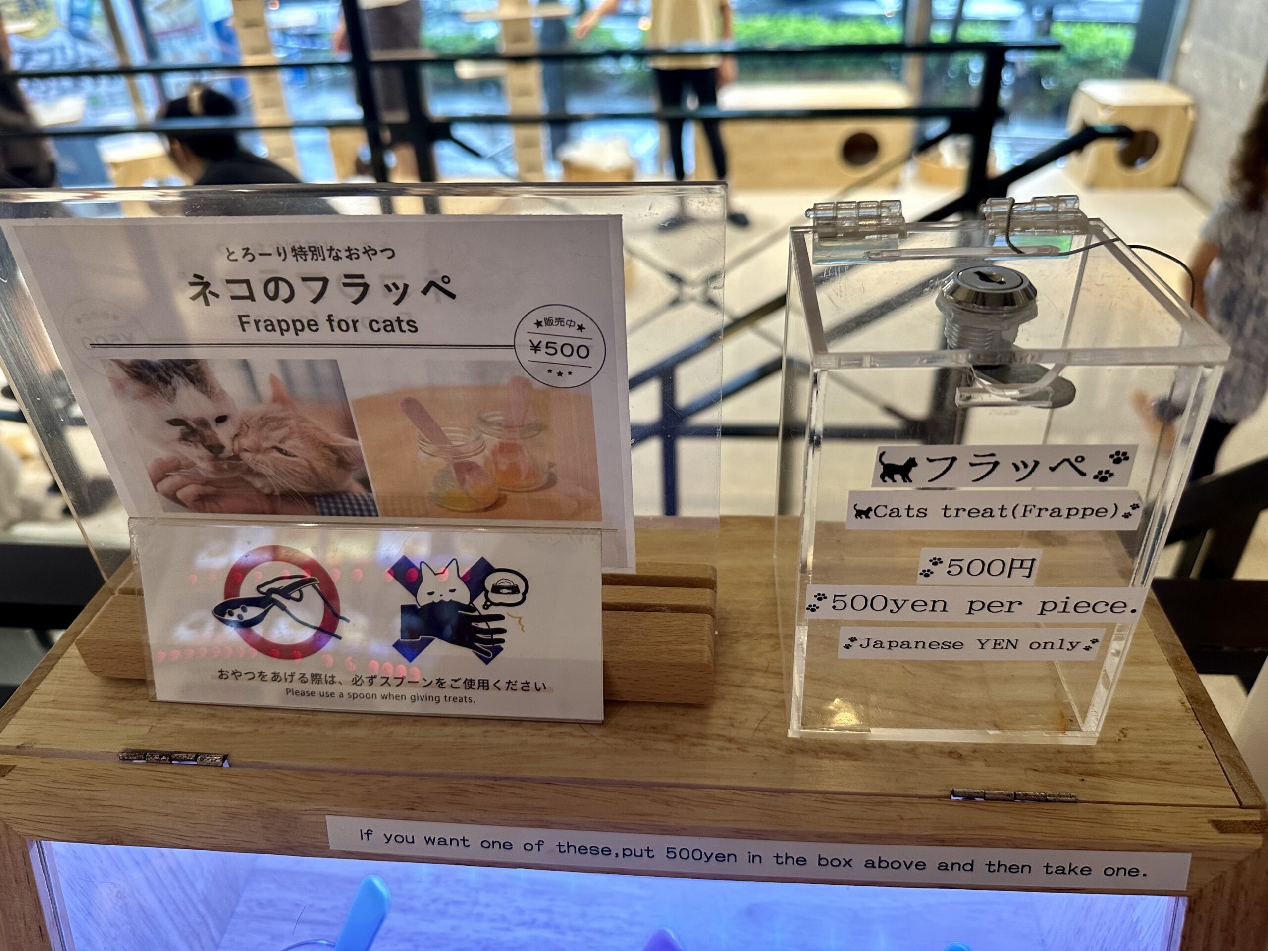 Cat Café MOFF in Akihabara