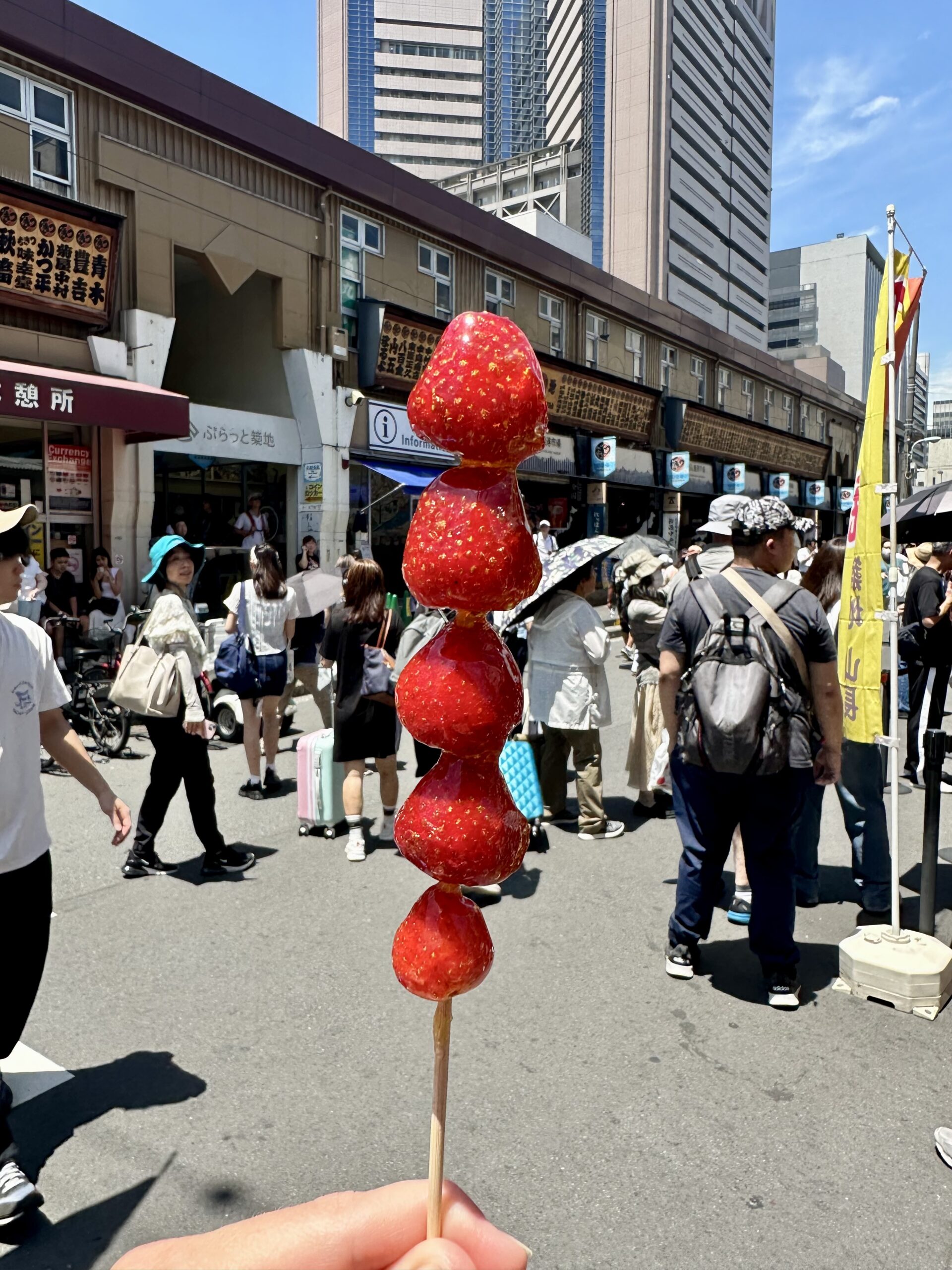 Tsukiji Outer Market in Tokyo