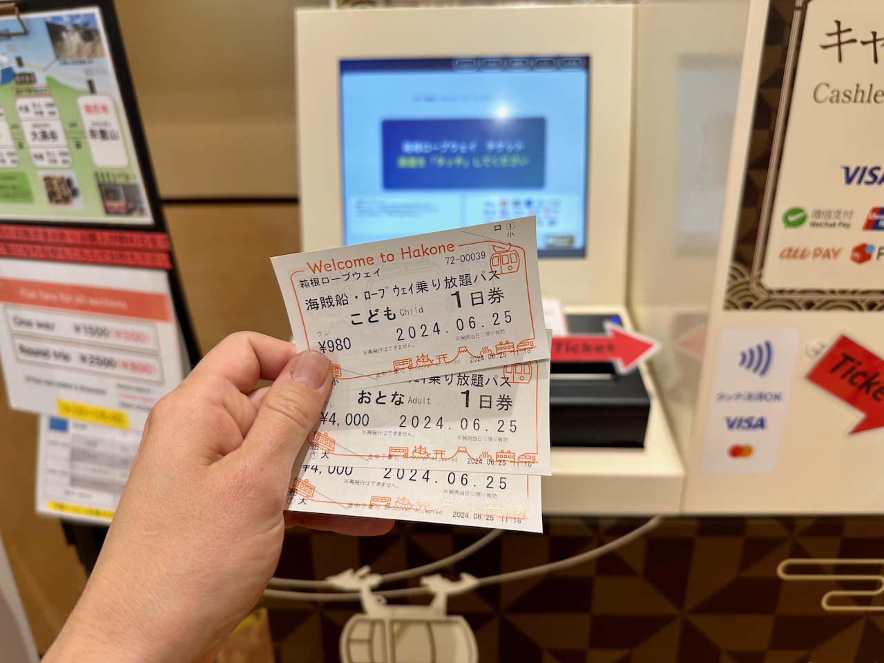 Tickets to Hakone Ropeway and Lake Ashi Cruise 