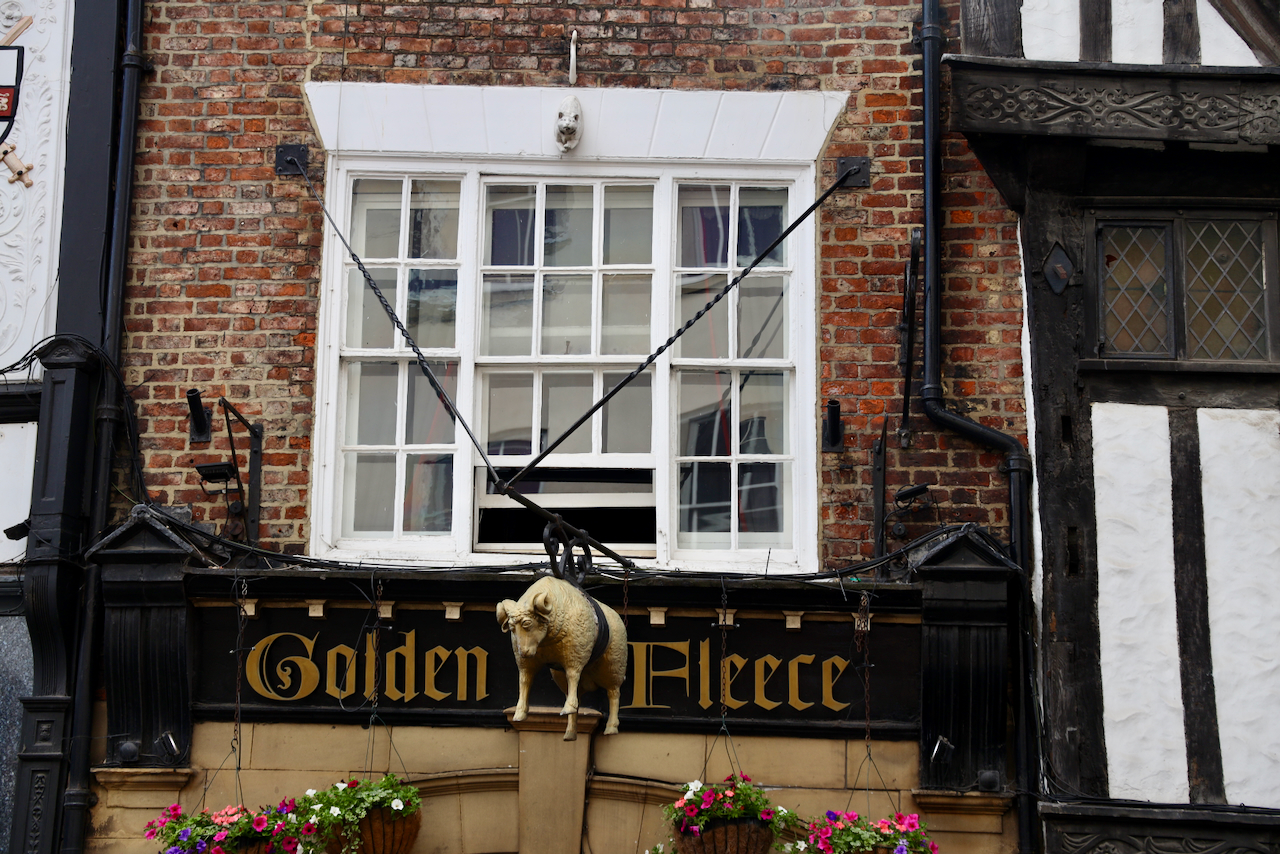 The York Cat Trail cats