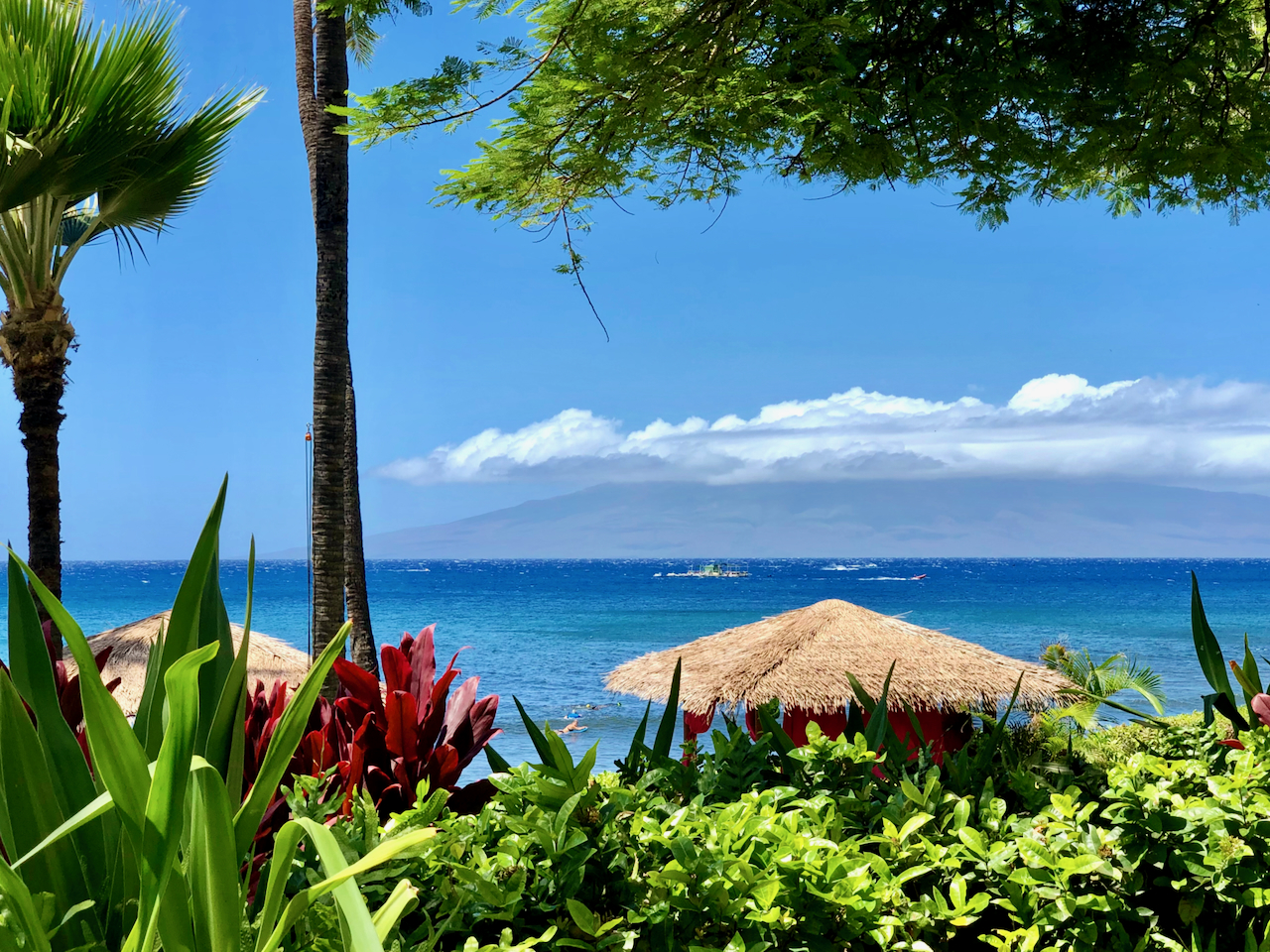 Hyatt Regency Maui